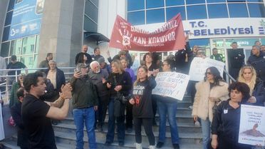 Erdemit'te Sokak Köpeği Ölümüne Protesto