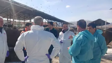 Malatya'da Şap Hastalığı Karantinası