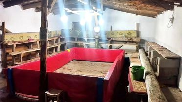 Muş'ta Horoz Dövüşüne Cezalar