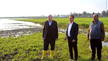 Adana'da Tarım Alanları Sel Altında