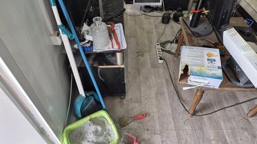 Sincan'da 102 Hayvana El Konuldu