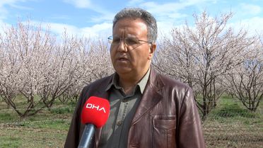 Malatya'da Kayısı Ağaçları Çiçek Açtı