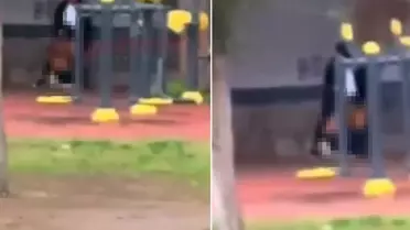 Parkta güpegündüz infial yaratan görüntü