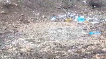 Tarsus'ta Ormana Yüzlerce Ölü Tavuk Atıldı