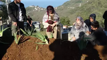 Giresun'da Trafik Kavgası: Öğretmen Öldürüldü