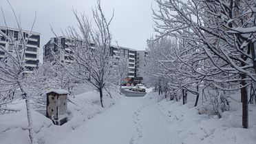 Bitlis'te Kar Yağışı 5 Köy Yolunu Kapattı