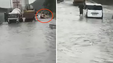 Kemerburgaz yolu göle döndü, koca kamyon sulara kapıldı