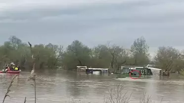 Bursa'da Selde Mahsur Kalan İki Köpek Kurtarıldı