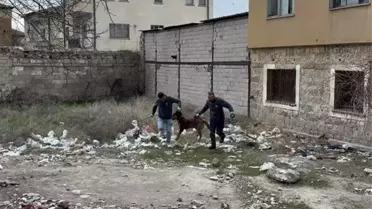 3 yaşındaki çocuğuna köpek saldıran baba: 'Köpeğin çocuğumuzu bırakması için çok uğraştık'