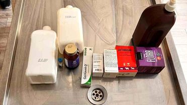 Açlıktan birbirini yiyen köpeklerin bakıldığı barınakta birçok ilacın tarihinin geçtiği belirlendi