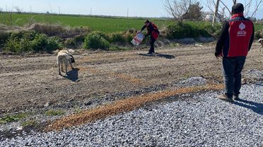 Flamingolar için doğaya yem bırakıldı