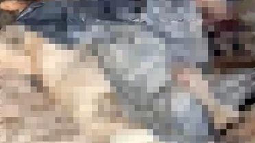 Bilecik'te Köpekler Ölüme Terk Edildi