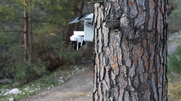Altın değerindeki künara kameralı önlem