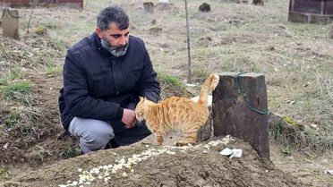 Kedilerden Vefa: Seyithan Balaman'ın Mezarı Başında Bekliyorlar