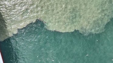 Haliç Kahverengiye Büründü