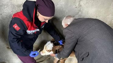 Adıyaman'da Zoonoz Hastalıklara Karşı Aşılama Devam Ediyor