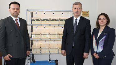 Zebra Balıkları ile Yeni Araştırmalar