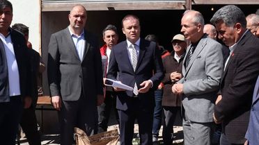 Çiftçilere Ayçiçeği Tohumu Desteği