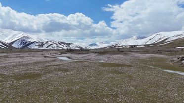 Hizan'da Çiğdemler Açtı