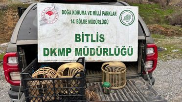 Bitlis'te Yasa Dışı Avcılara Ceza