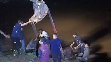 Cizre'de İnek Nehirden Kurtarıldı