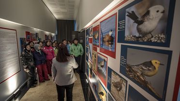 Biyoçeşitlilik Müzesi'nde Tıbbi Bitki Sergisi