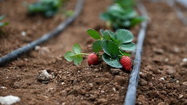 GAPTARIM Fuarı Gaziantep'te Açıldı