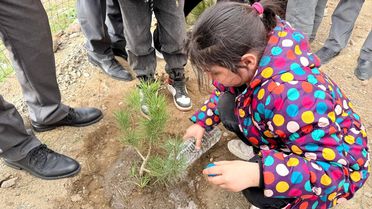 Göynücek'te Fidan Dikimi Etkinliği