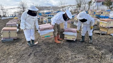 Ardahan'da Arıcılar Kışlatmayı Sorunsuz Geçirdi