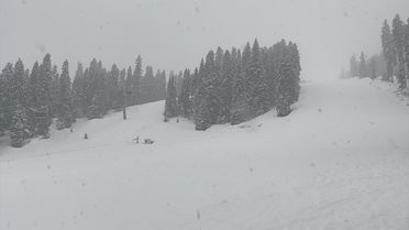 Ilgaz Dağı'nda Kar Yağışı