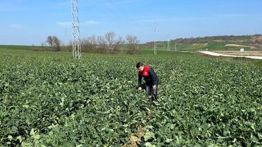 Kırklareli'nde Kanser Taraması