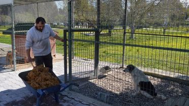 Konyaaltı'nda Sokak Hayvanlarına Mama Üretimi