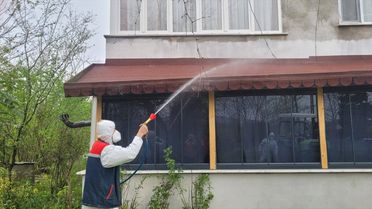 Kahverengi Kokarca Mücadelesi Devam Ediyor