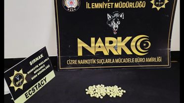 Cizre'de Uyuşturucu Operasyonu: 2 Gözaltı