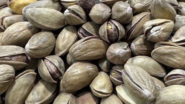 Türkiye Fıstık İhracatında Artış