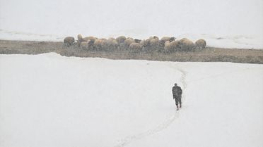 Çatak'ta Beklenmedik Kar Yağışı
