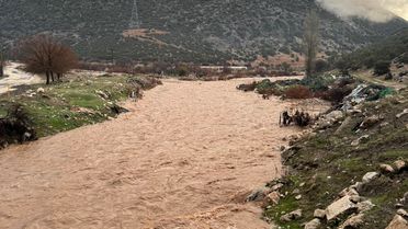 Elmalı'da sel felaketi: Tarım arazileri su altında