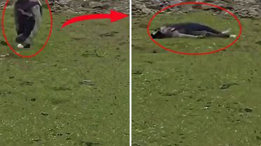 İsrail'den Suriye topraklarına baskın! Sivillere ateş açtılar