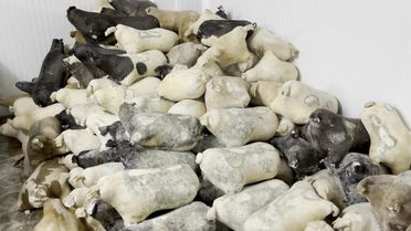 Erzincan'ın Tulum Peyniri ve Cimin Üzümü Slow Food Listesine Alındı