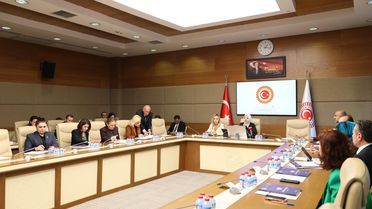 Kadına Yönelik Şiddet Raporu: Koruma Eksikliği