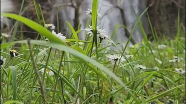 Aladağ'da Şelaleler Coştu