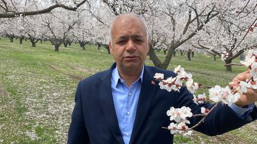 Iğdır'da Kayısı Ağaçları Çiçek Açtı