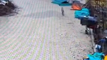 Kurt Mahalleye İndi