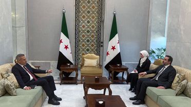 Fidan, Zelenskiy ve Şara ile Görüştü