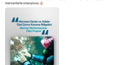 Marmara Denizi'nde Mercan Restorasyonu
