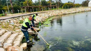 Didim'de temizlik ve düzenleme çalışmaları sürüyor