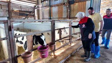 Düzce'de Hastalıktan Ari İşletme Sertifikası