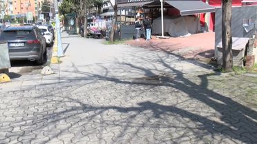 Kadıköy'de Kargo Aracının Ezdiği Köpek Hayatını Kaybetti