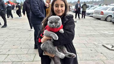 Maçta Kedili Taraftar Çizgisi