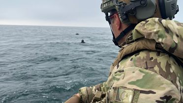 İğneada'da Mayın İmha Edildi